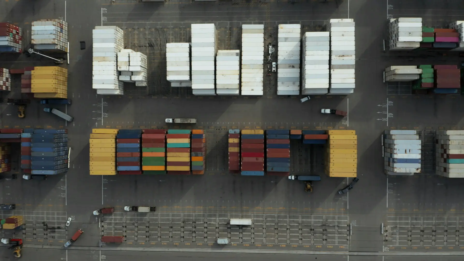 Customs Broker Background
